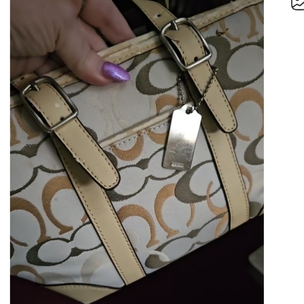 Coach Beige and Brown Mini Bag